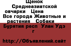Щенок Среднеазиатской овчарки › Цена ­ 35 000 - Все города Животные и растения » Собаки   . Бурятия респ.,Улан-Удэ г.